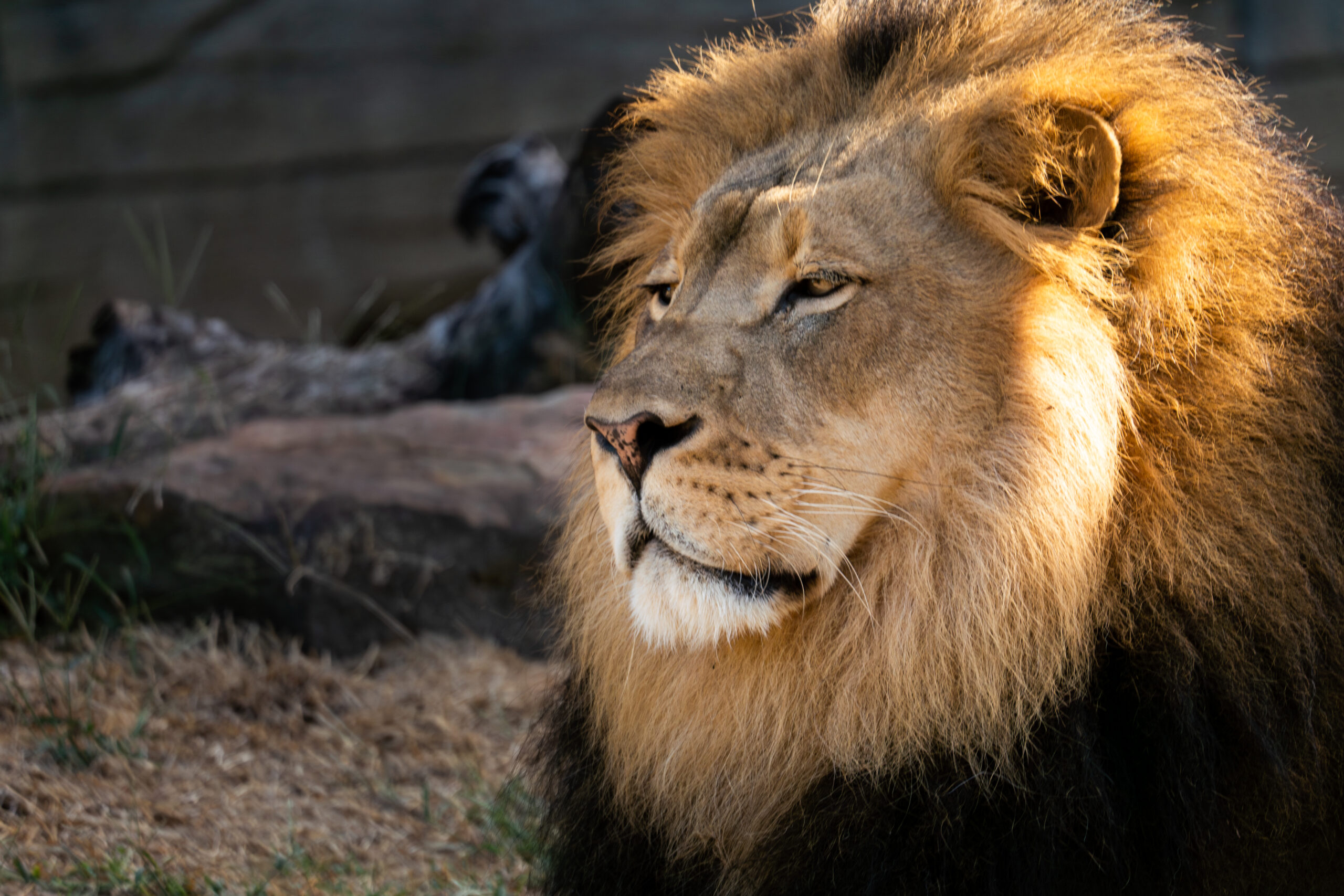 Benefits of Photography