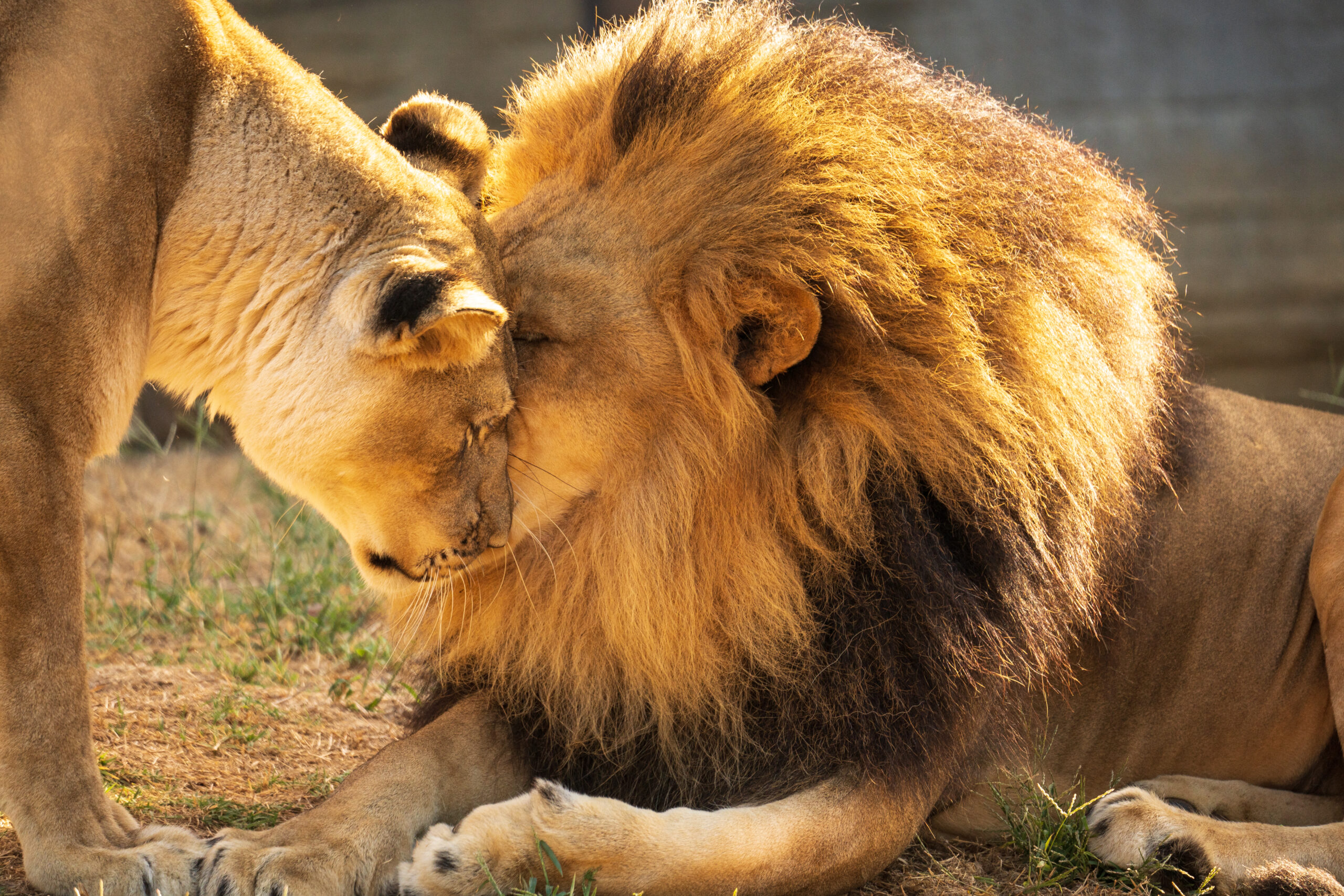 Learn to Use Your Camera