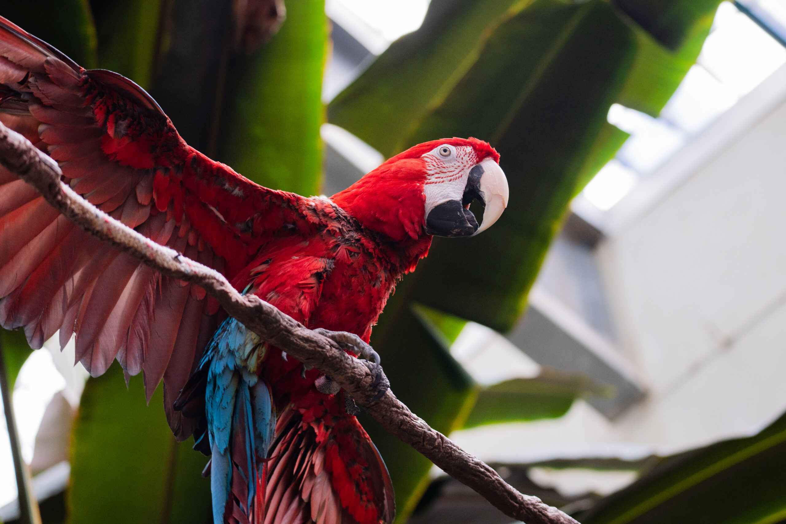 Five Things to Know About Photography