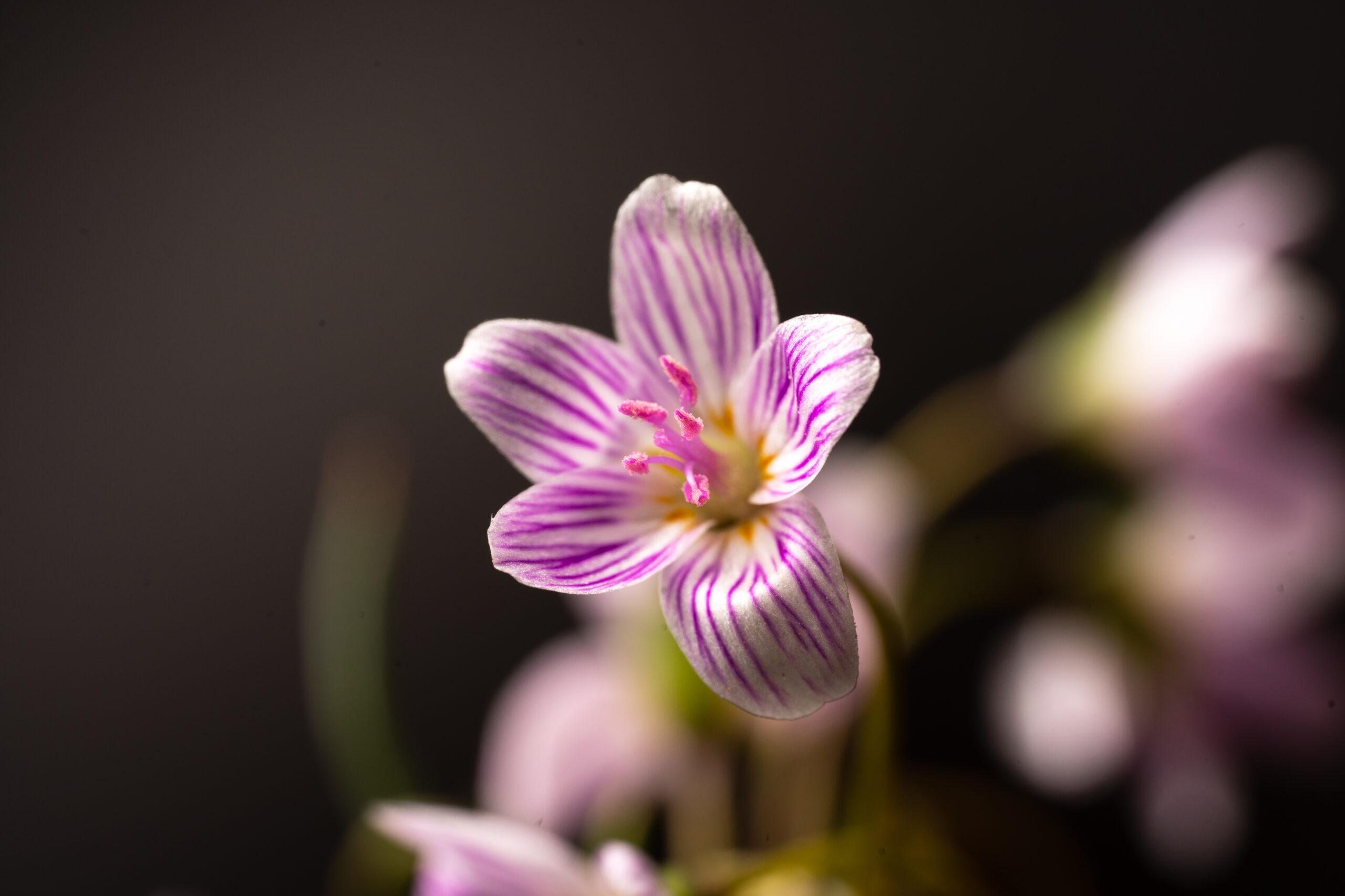 Having a Steady Hand