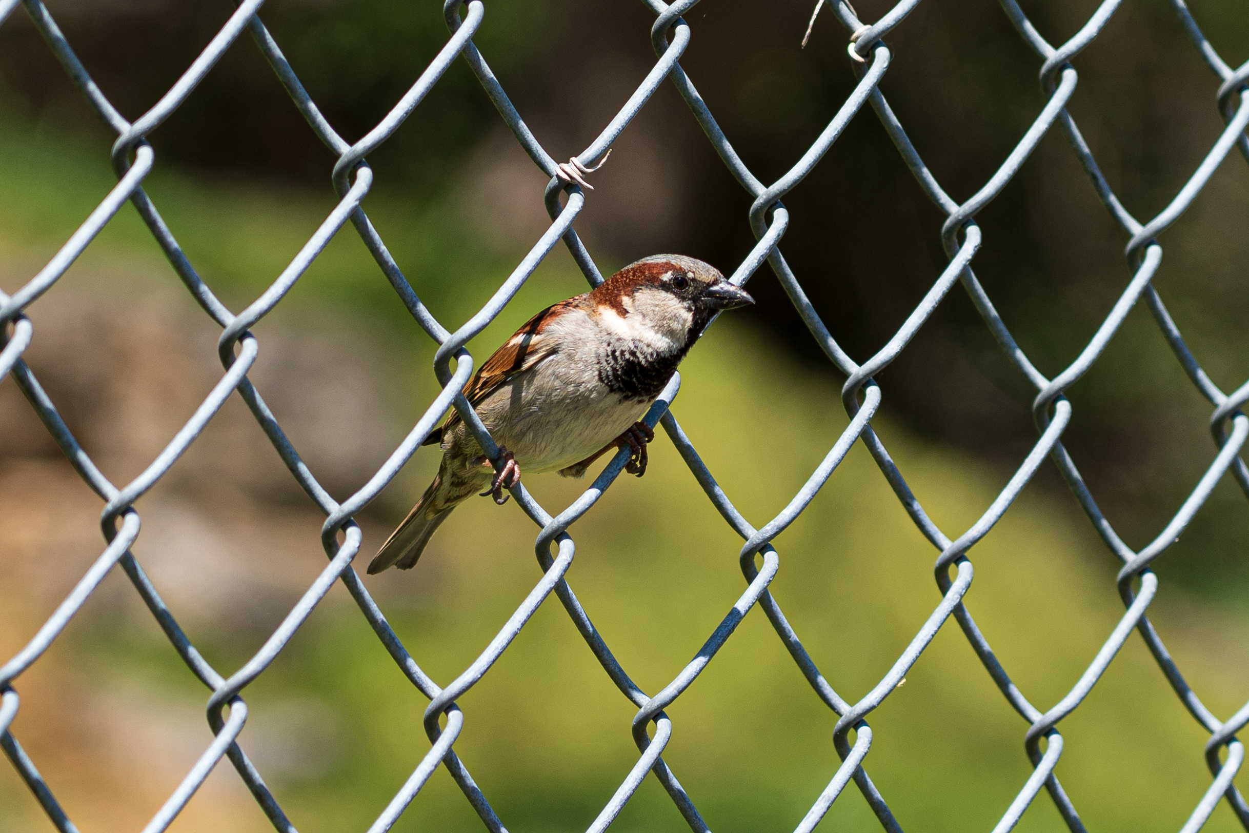 Understanding Aperture