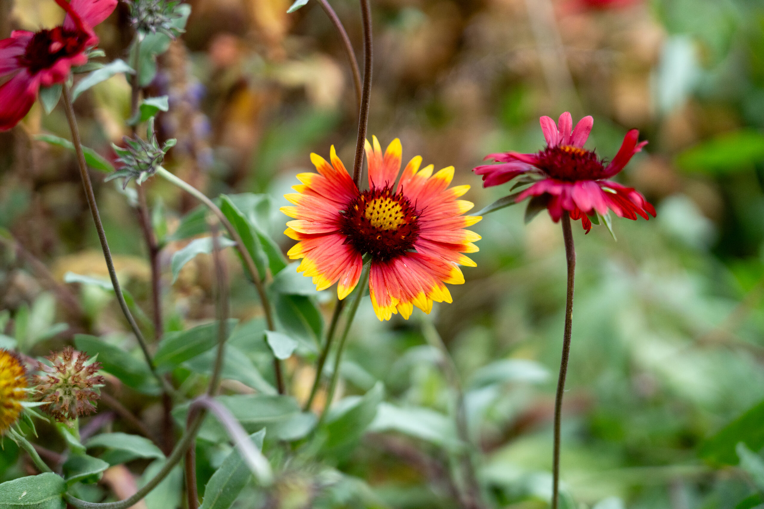 Understanding Shutter Speed